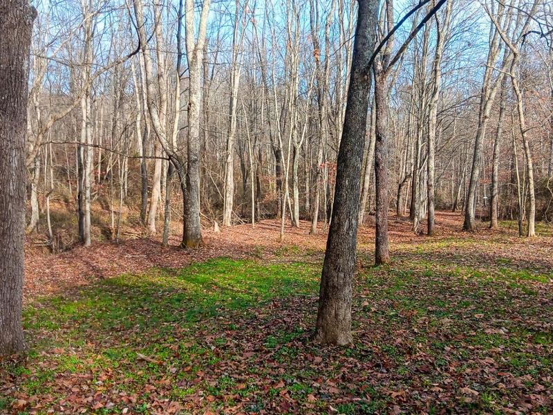 33747 Wolf Hill Road, Unit (Wolf Hill, McArthur, OH 45651 Photo 53