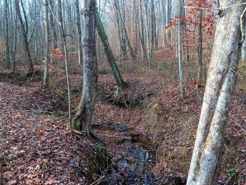 33747 Wolf Hill Road, Unit (Wolf Hill, McArthur, OH 45651 Photo 55