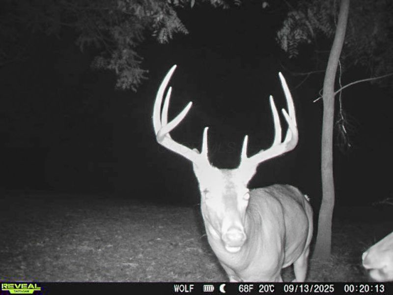 33747 Wolf Hill Road, Unit (Wolf Hill, McArthur, OH 45651 Photo 56