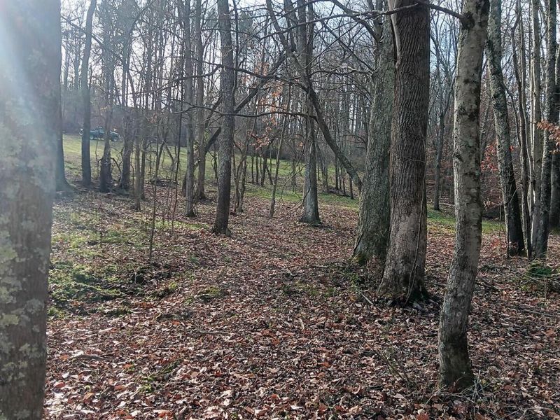 33747 Wolf Hill Road, Unit (Wolf Hill, McArthur, OH 45651 Photo 58