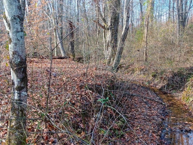 33747 Wolf Hill Road, Unit (Wolf Hill, McArthur, OH 45651 Photo 59