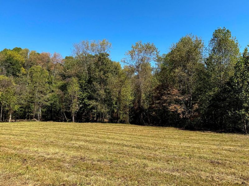 33747 Wolf Hill Road, Unit (Wolf Hill, McArthur, OH 45651 Photo 60