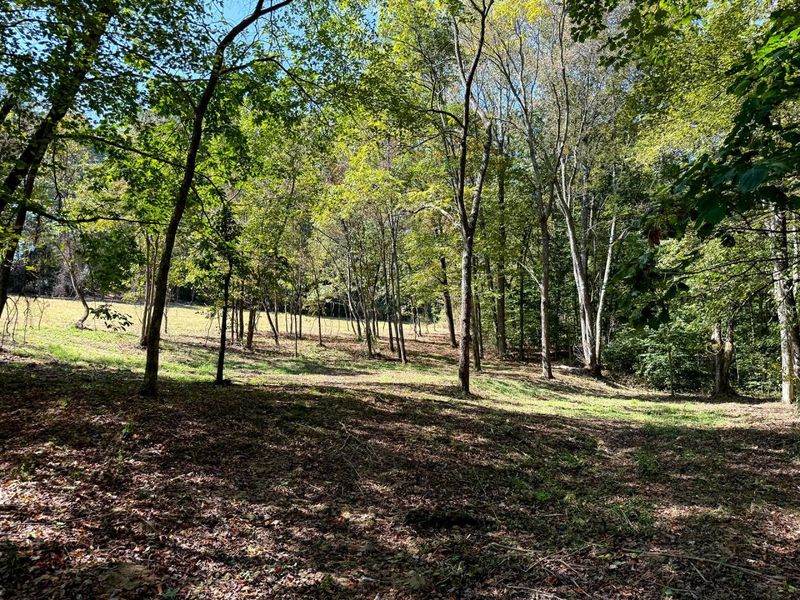 33747 Wolf Hill Road, Unit (Wolf Hill, McArthur, OH 45651 Photo 62