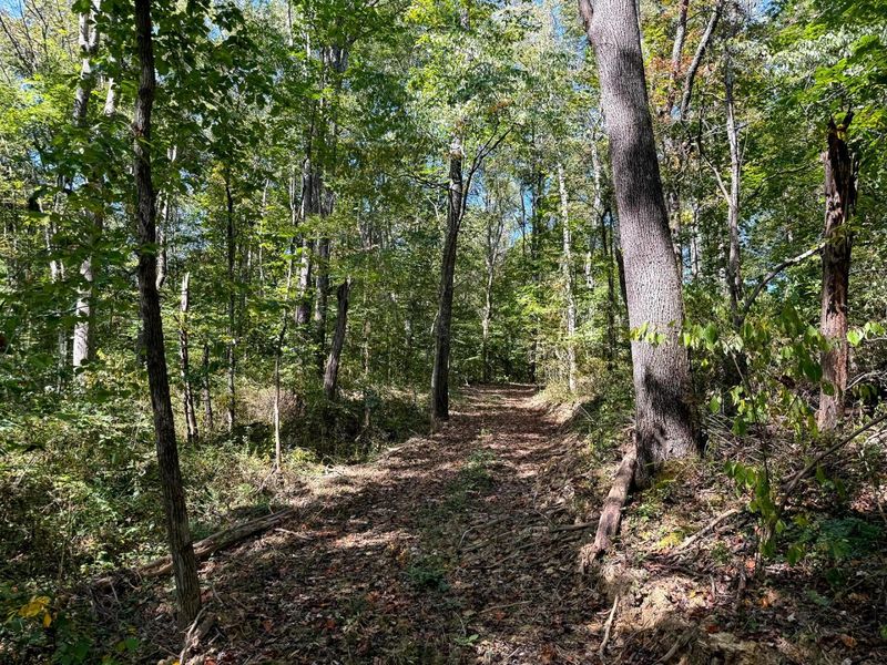 33747 Wolf Hill Road, Unit (Wolf Hill, McArthur, OH 45651 Photo 63