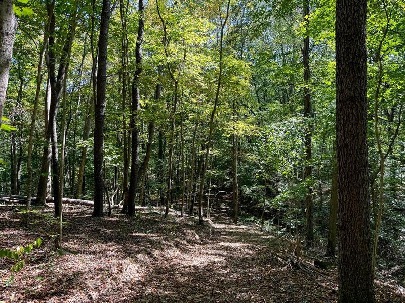 33747 Wolf Hill Road, Unit (Wolf Hill, McArthur, OH 45651 Photo 64