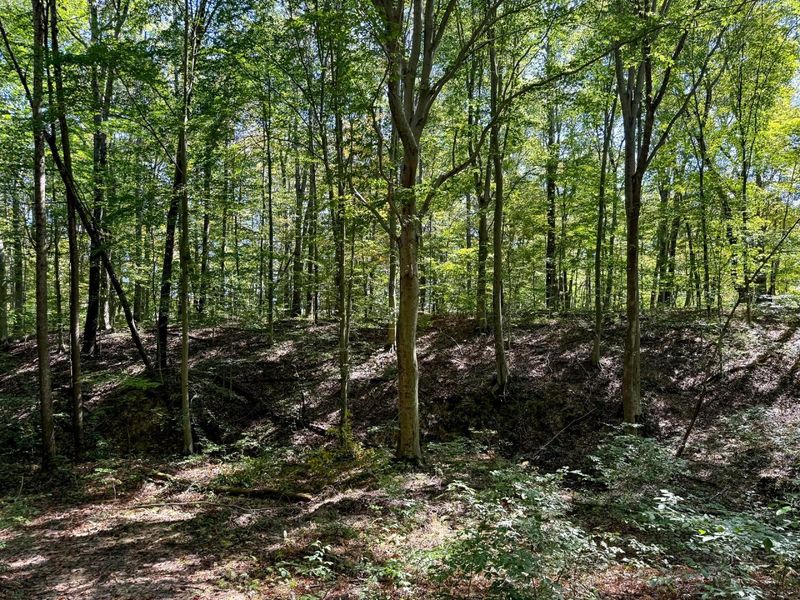 33747 Wolf Hill Road, Unit (Wolf Hill, McArthur, OH 45651 Photo 65