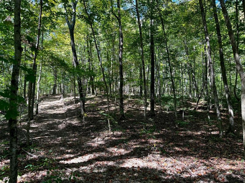 33747 Wolf Hill Road, Unit (Wolf Hill, McArthur, OH 45651 Photo 67