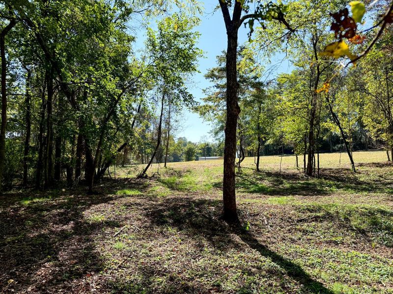 33747 Wolf Hill Road, Unit (Wolf Hill, McArthur, OH 45651 Photo 69