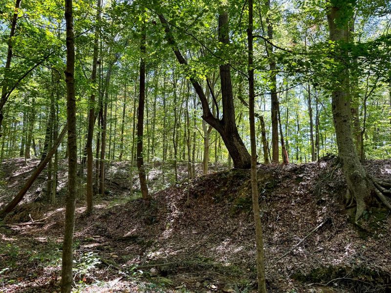 33747 Wolf Hill Road, Unit (Wolf Hill, McArthur, OH 45651 Photo 7