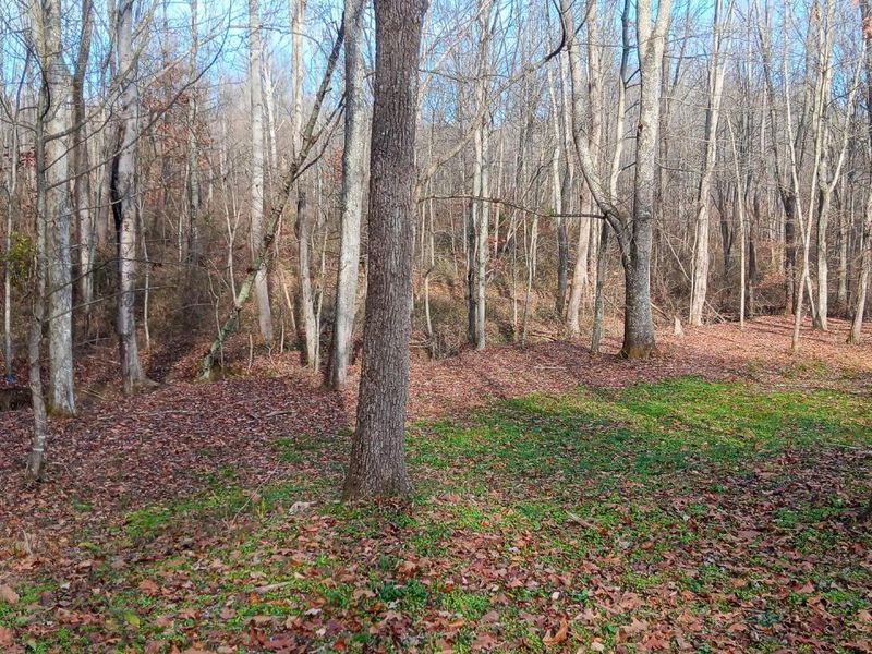 33747 Wolf Hill Road, Unit (Wolf Hill, McArthur, OH 45651 Photo 9