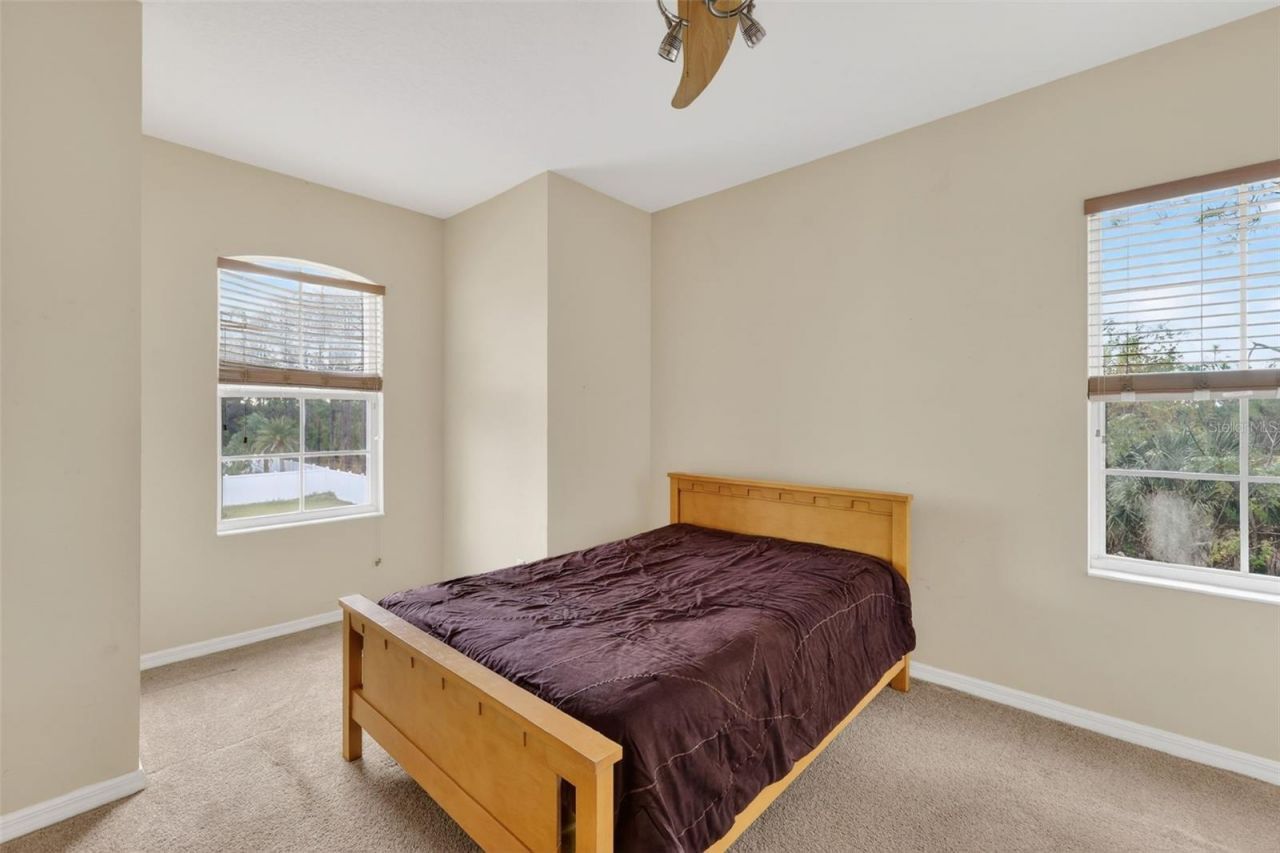 2598 Plumadore Drive, Grand Island, FL 32735 Photo