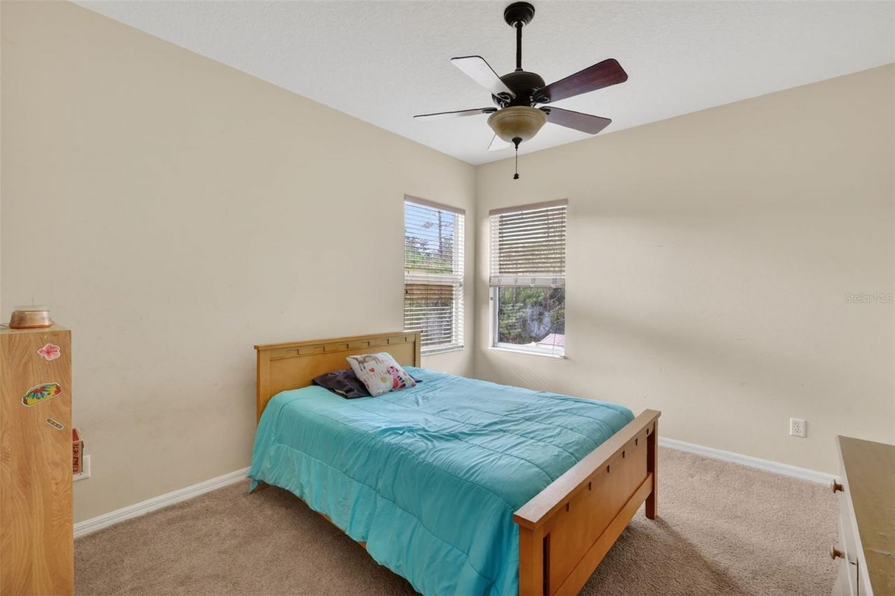 2598 Plumadore Drive, Grand Island, FL 32735 Photo