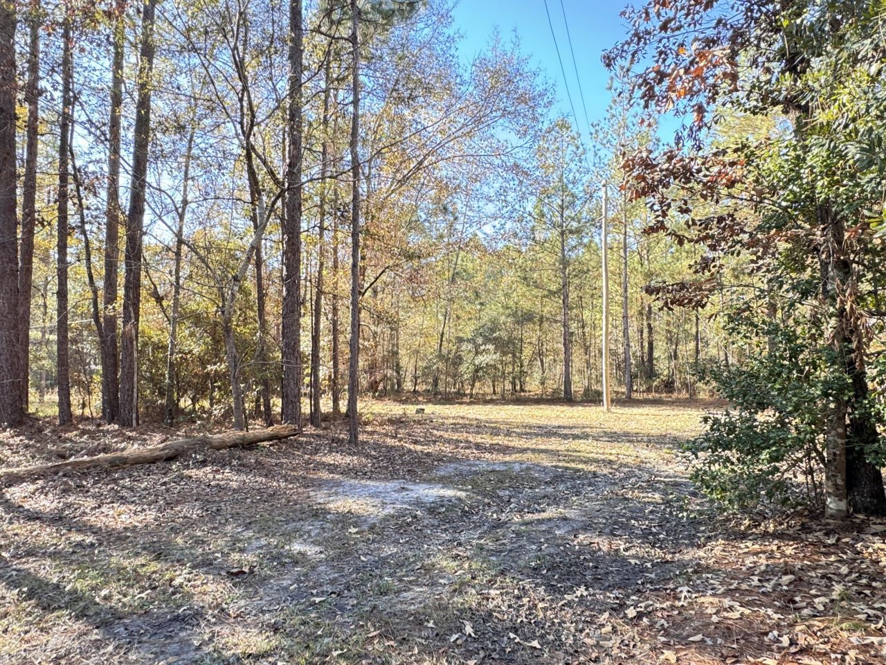 70 Chrissy Drive Photo 32