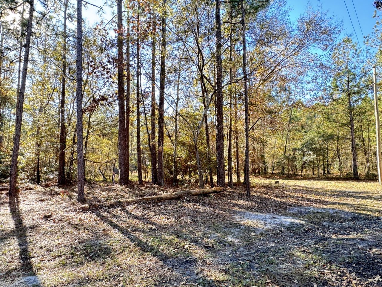 70 Chrissy Drive Photo 33