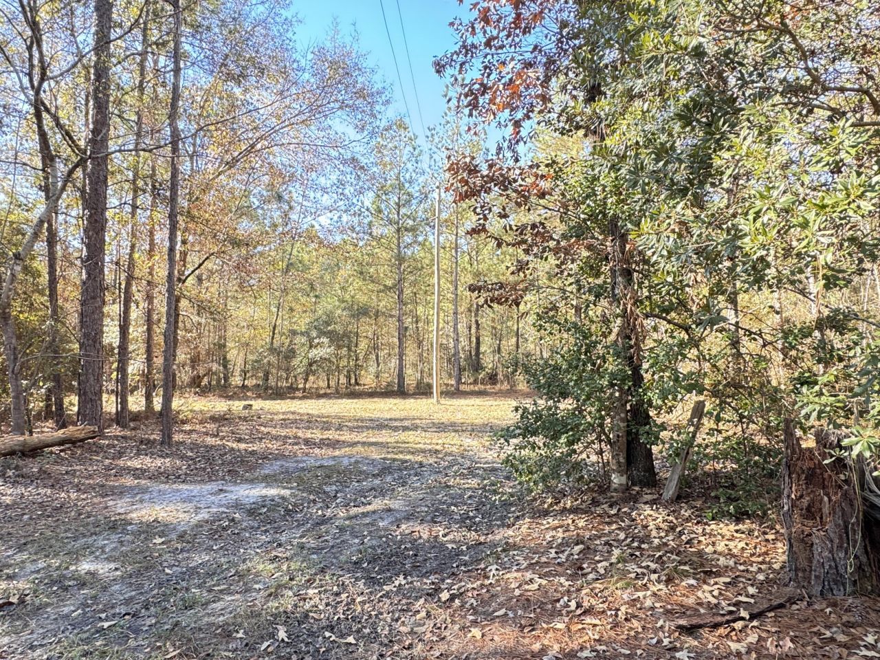 70 Chrissy Drive Photo 34