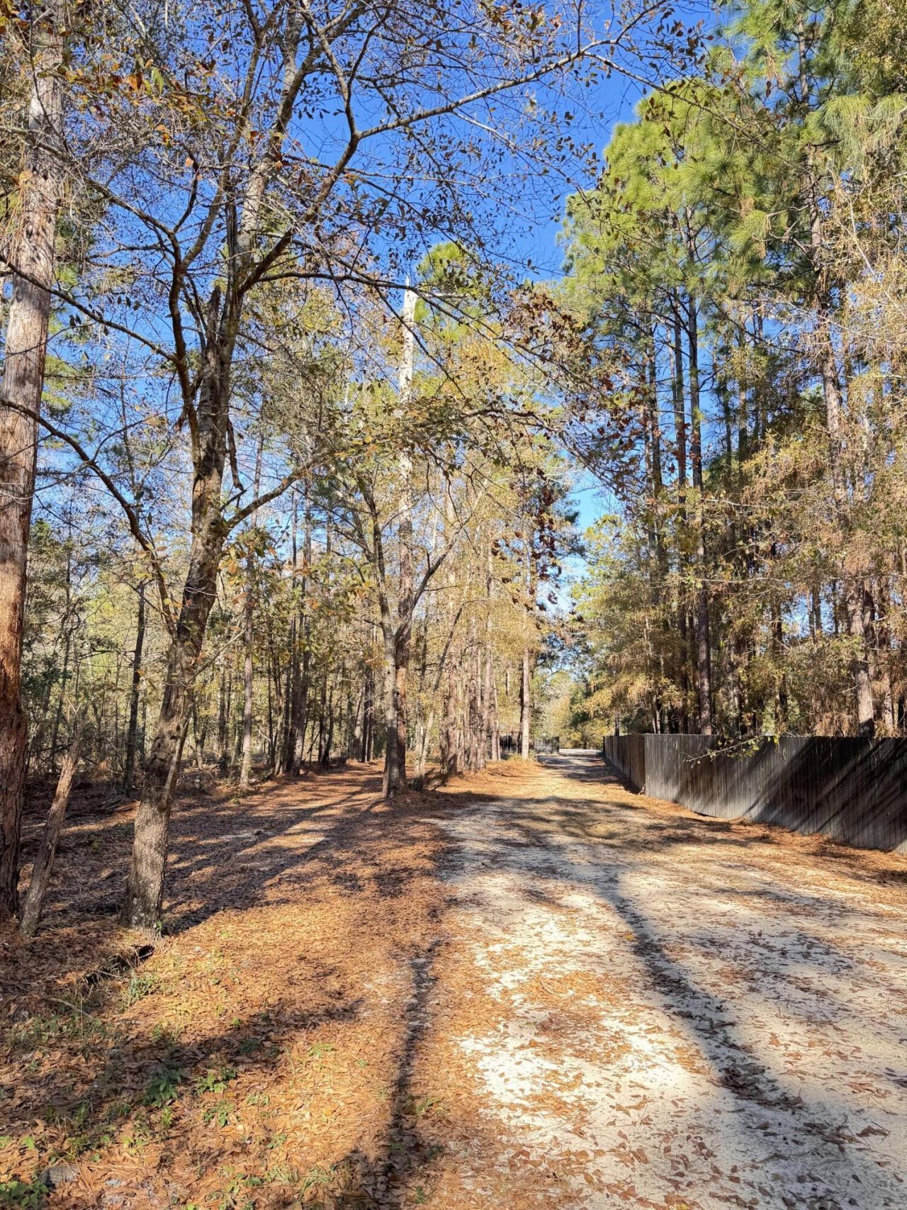 70 Chrissy Drive Photo 35