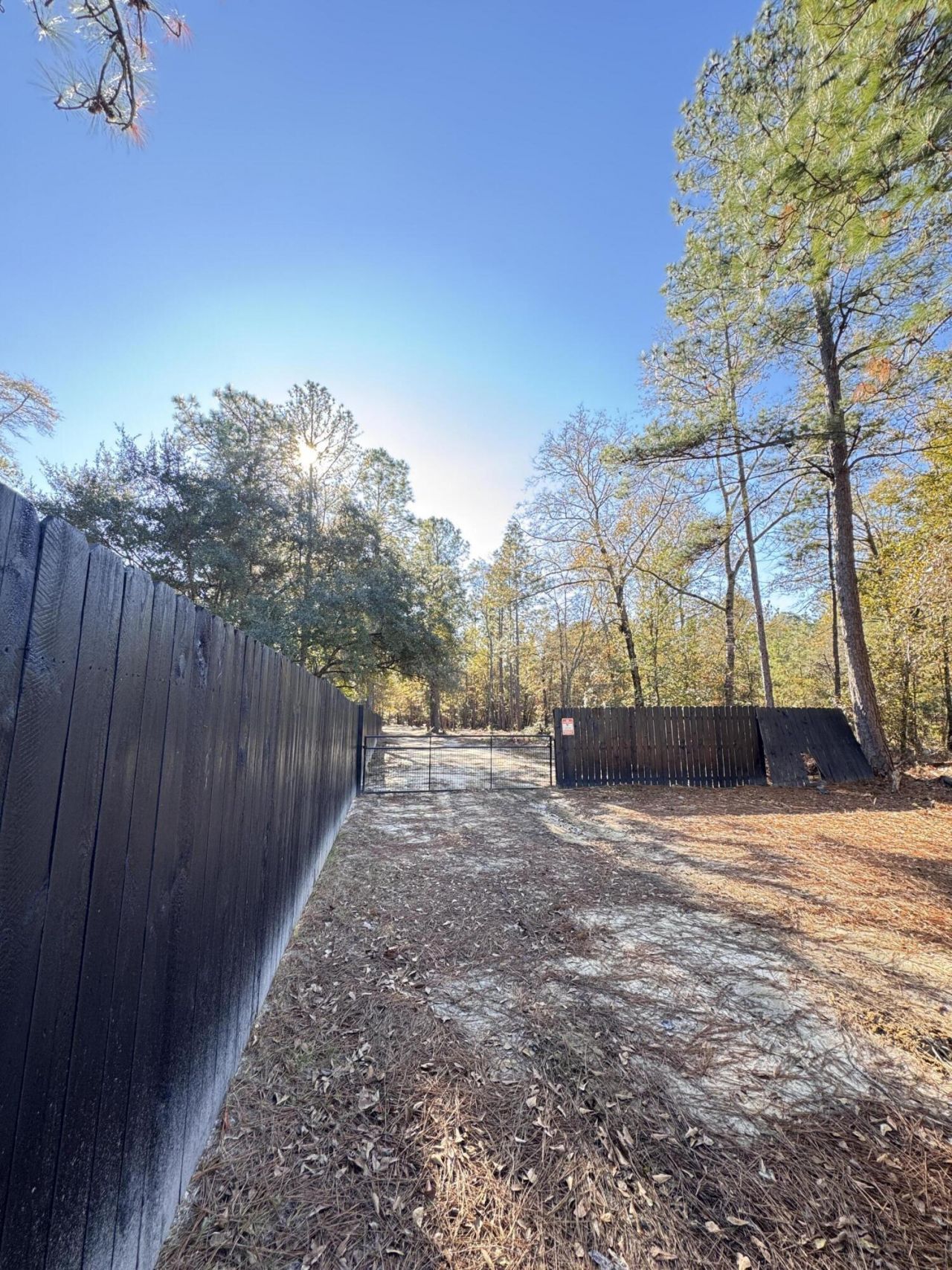 70 Chrissy Drive Photo 39