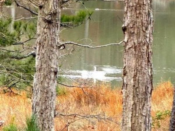 3 SEAGRASS COURT, KING GEORGE, VA 22485