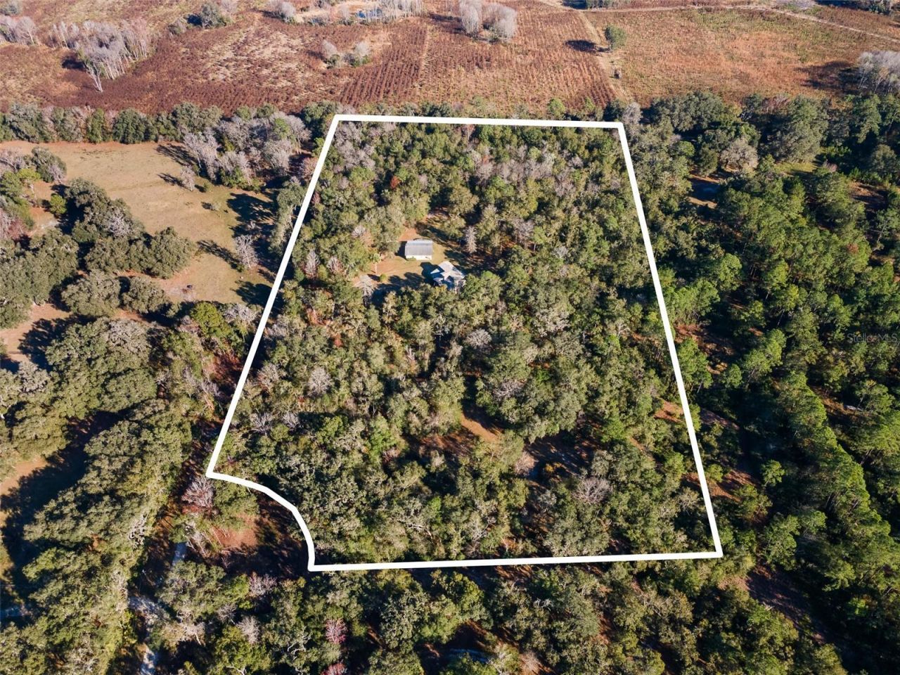 14600 NW 216th Place, Micanopy, FL 32667 Photo