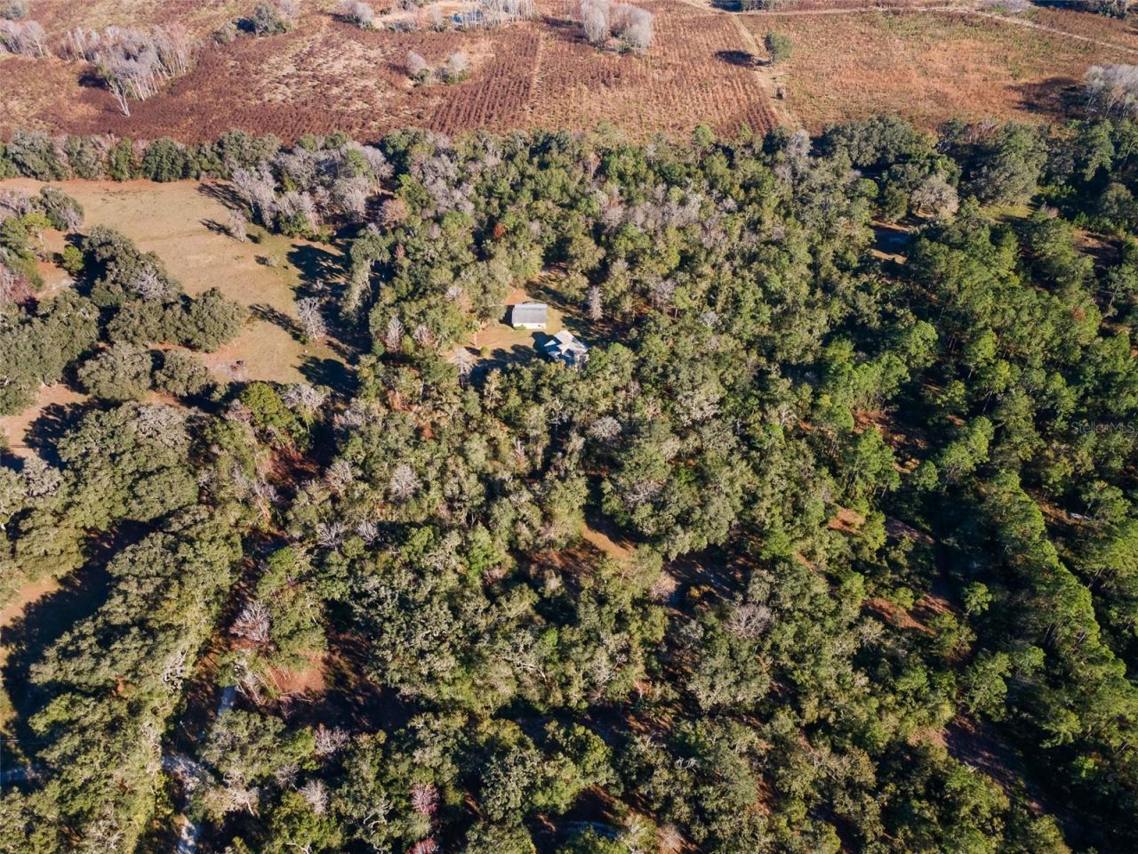 14600 NW 216th Place, Micanopy, FL 32667 Photo