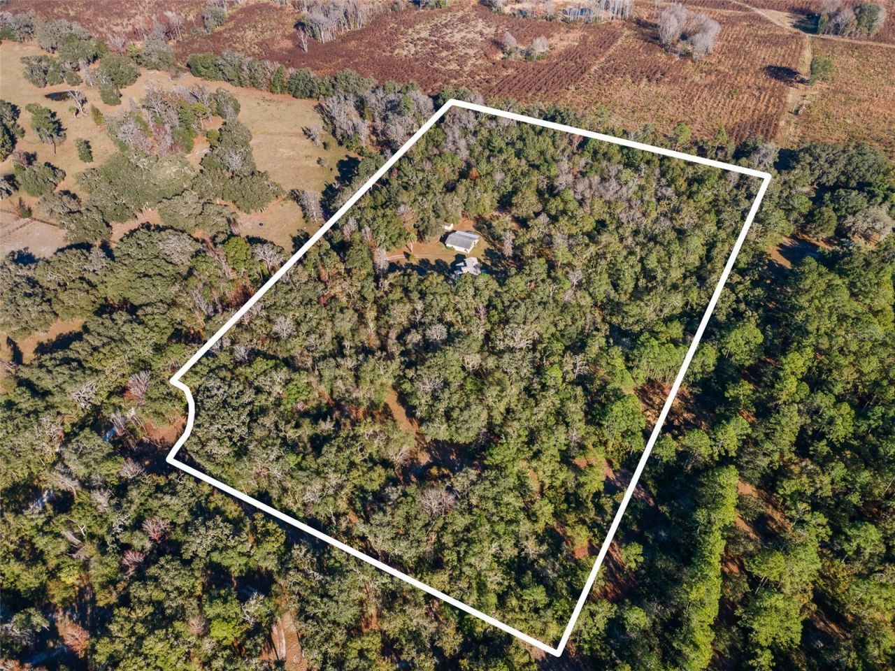 14600 NW 216th Place, Micanopy, FL 32667 Photo