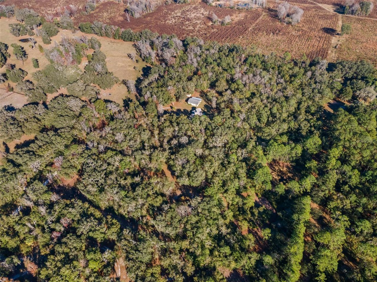 14600 NW 216th Place, Micanopy, FL 32667 Photo