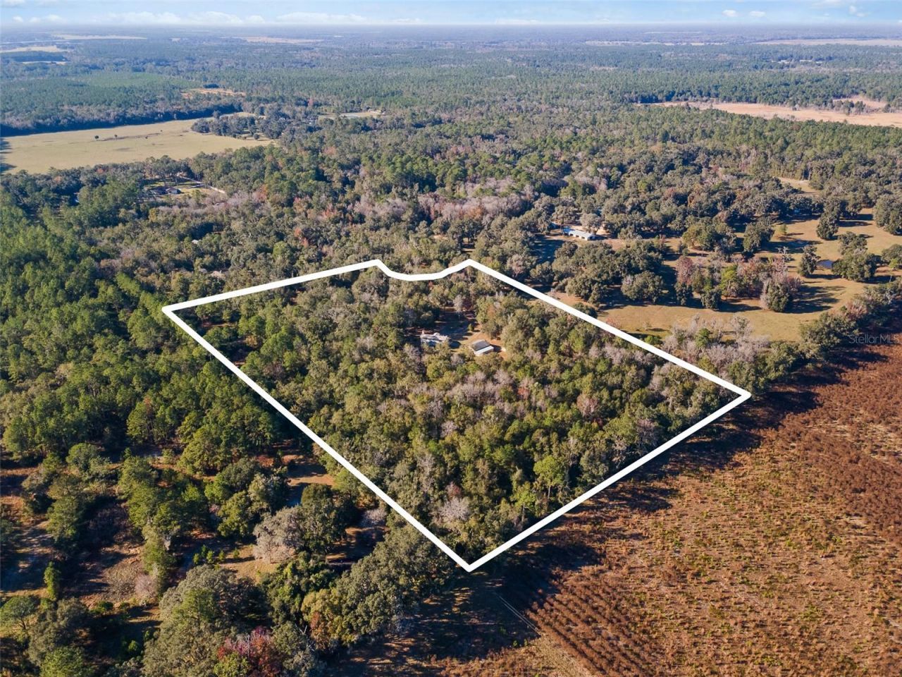 14600 NW 216th Place, Micanopy, FL 32667 Photo