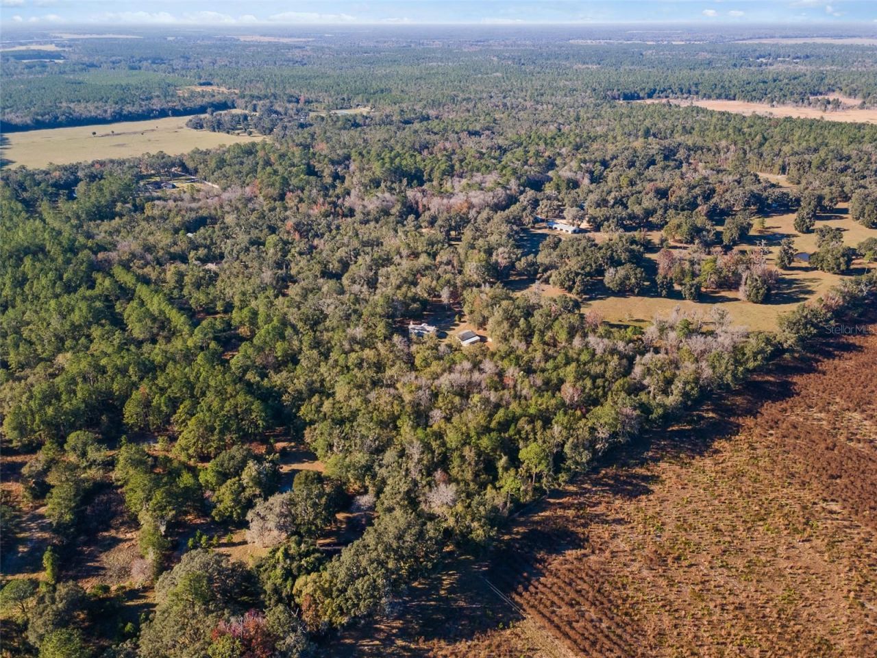 14600 NW 216th Place, Micanopy, FL 32667 Photo