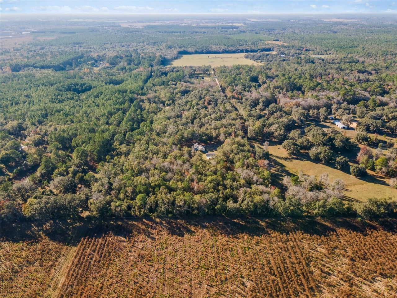 14600 NW 216th Place, Micanopy, FL 32667 Photo