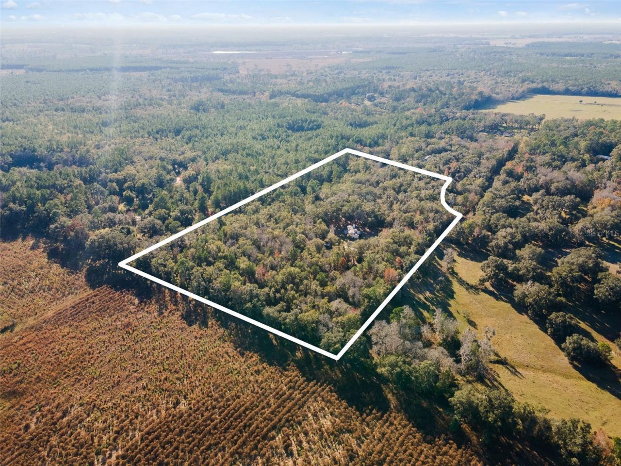 14600 NW 216th Place, Micanopy, FL 32667 Photo