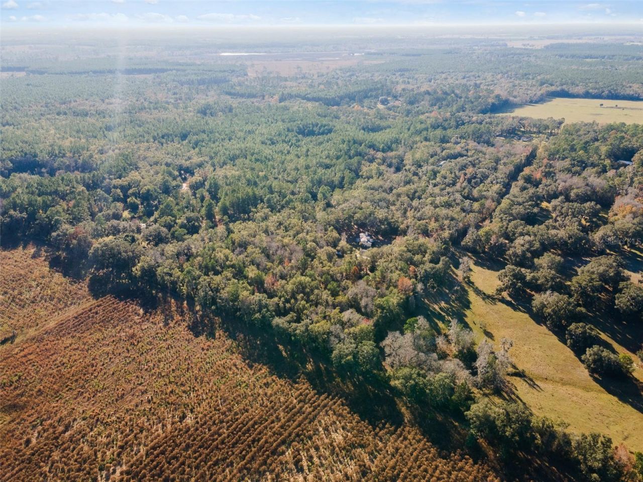 14600 NW 216th Place, Micanopy, FL 32667 Photo