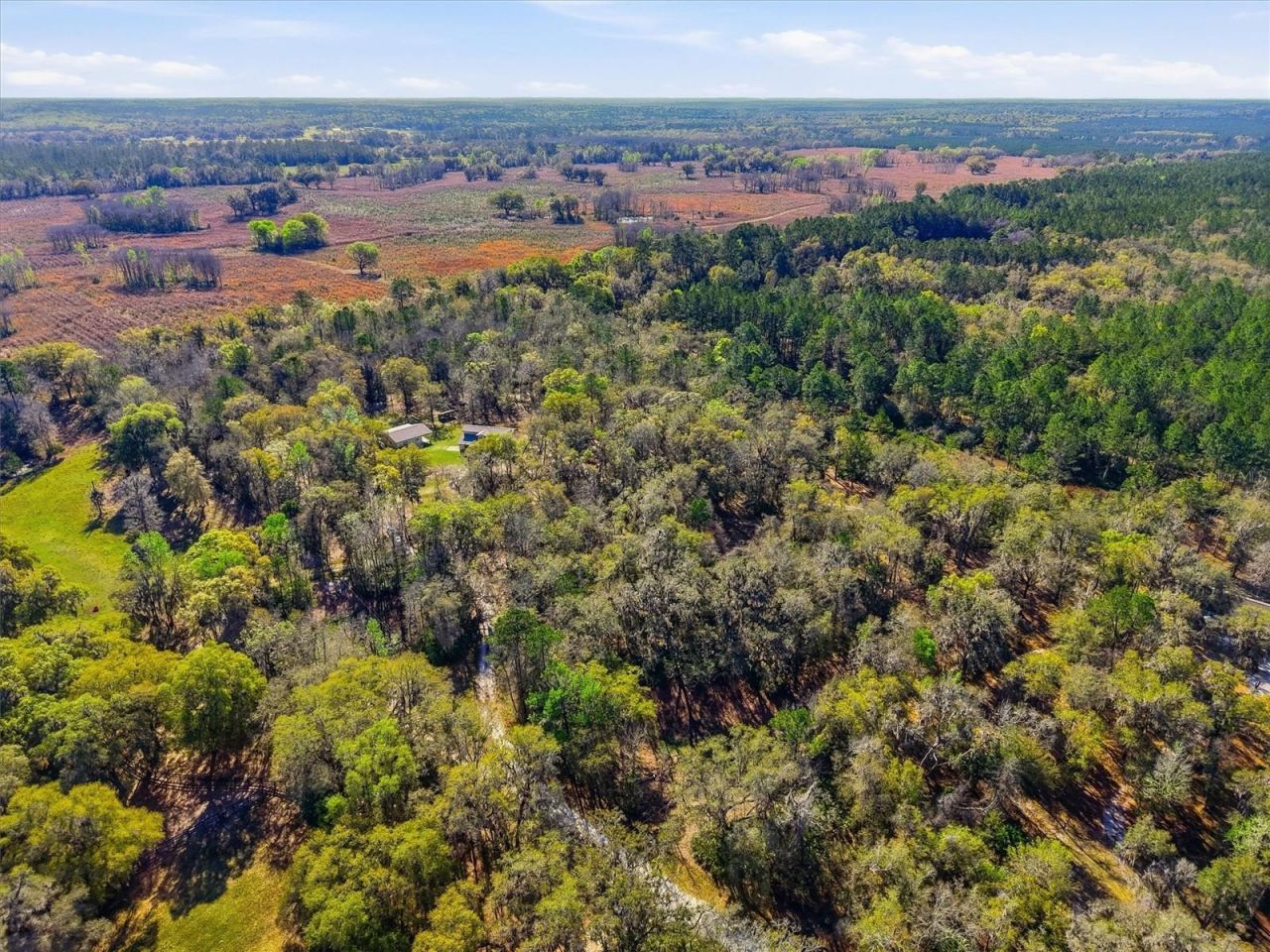 14600 NW 216th Place, Micanopy, FL 32667 Photo