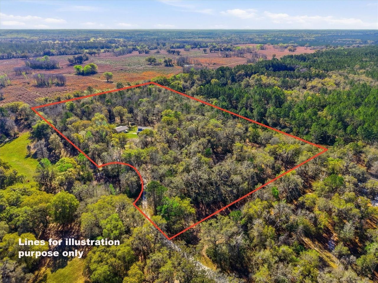 14600 NW 216th Place, Micanopy, FL 32667 Photo