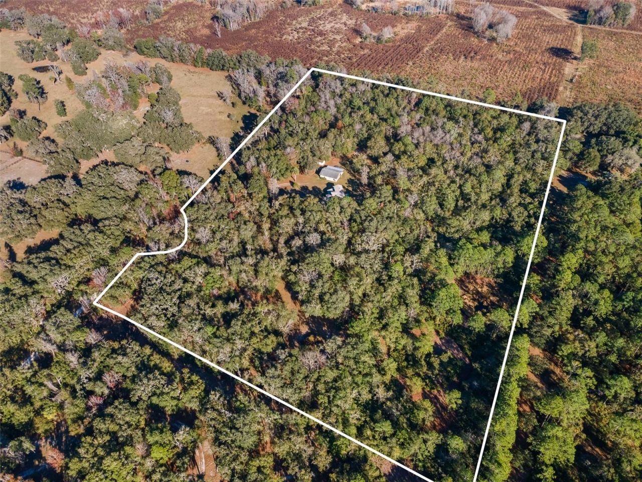 14600 NW 216th Place, Micanopy, FL 32667 Photo