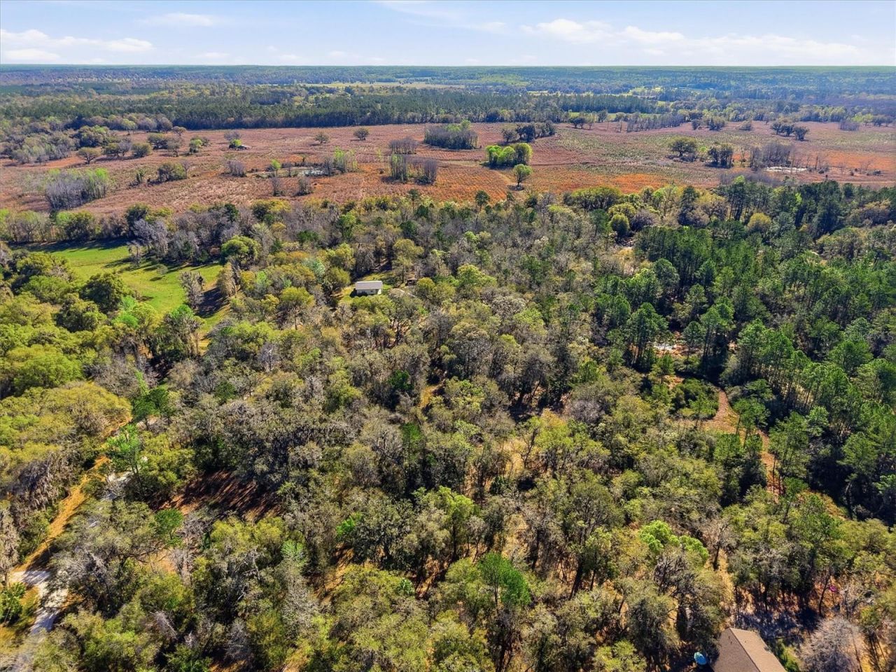 14600 NW 216th Place, Micanopy, FL 32667 Photo