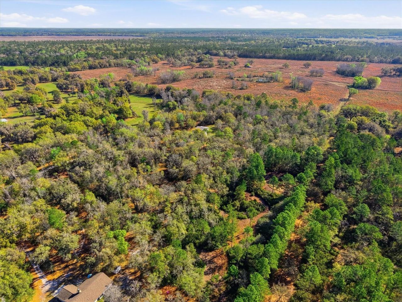 14600 NW 216th Place, Micanopy, FL 32667 Photo