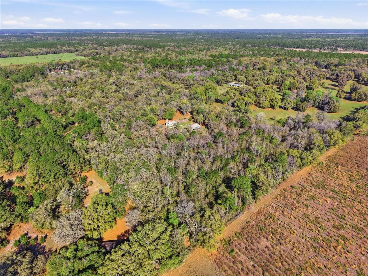 14600 NW 216th Place, Micanopy, FL 32667 Photo