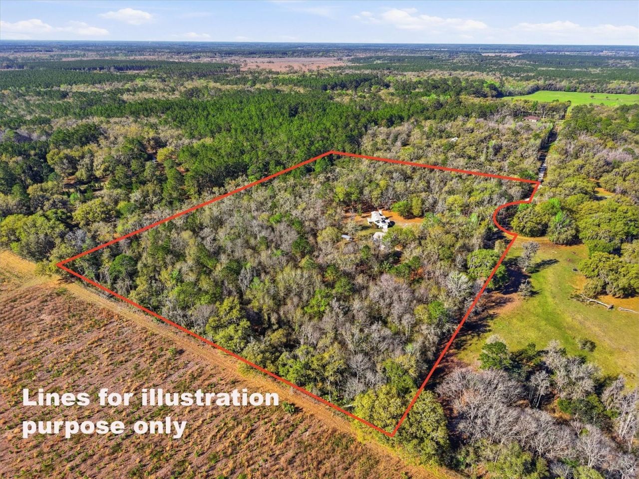 14600 NW 216th Place, Micanopy, FL 32667 Photo