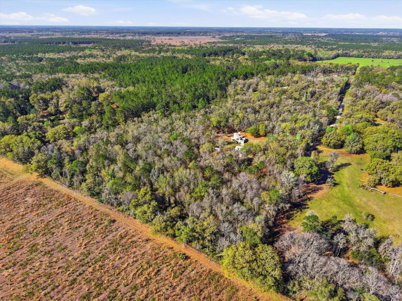 14600 NW 216th Place, Micanopy, FL 32667 Photo