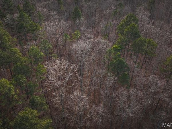 00 Highway Y, Grandin, MO 63935