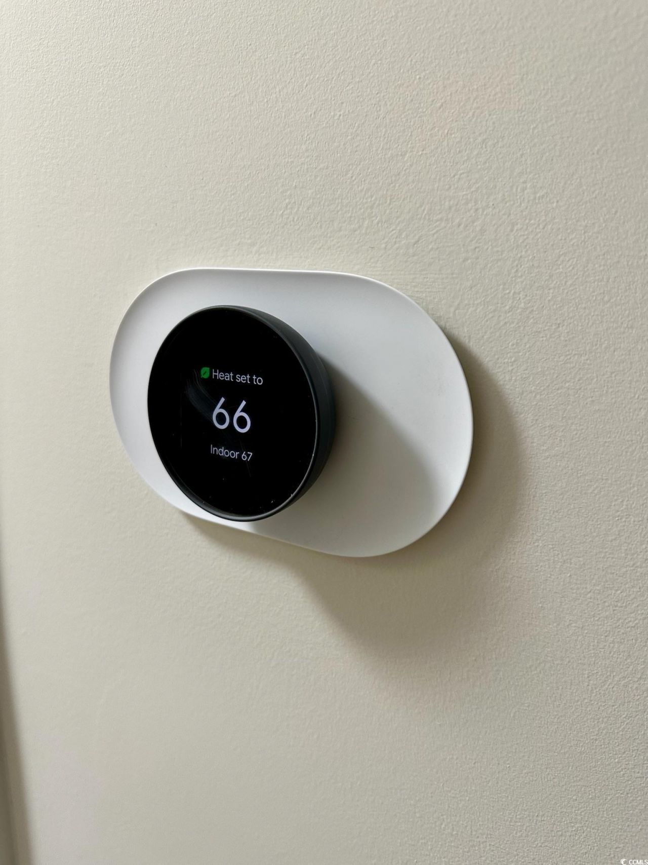 9 Pistachio Loop Photo 19