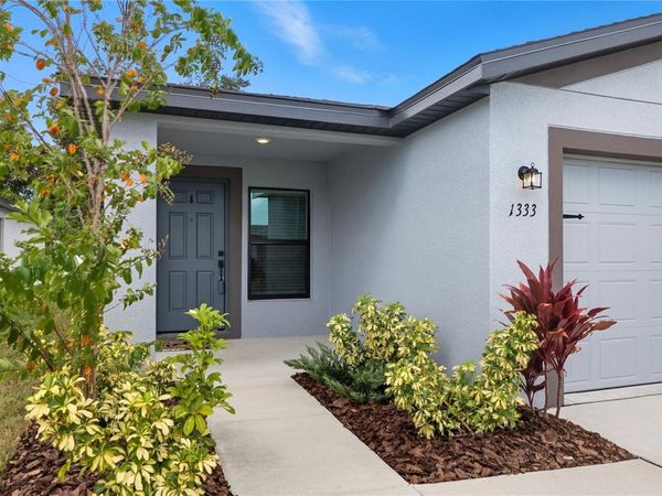 1333 BARNACLE BAY PLACE, TAMPA, FL 33619