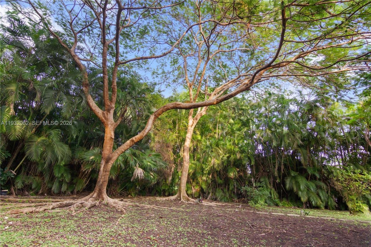 11825 S Mitchell Manor Cir, Pinecrest, FL 33156 Photo