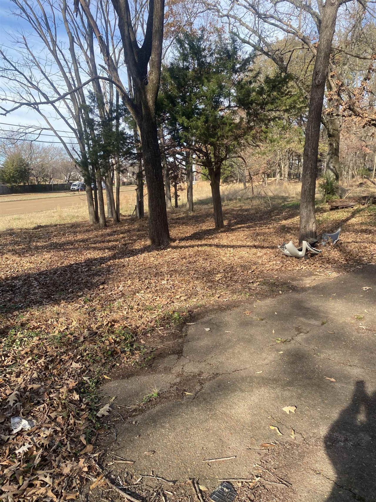 New Brownsville Rd, Unincorporated, TN 38135 Main Photo