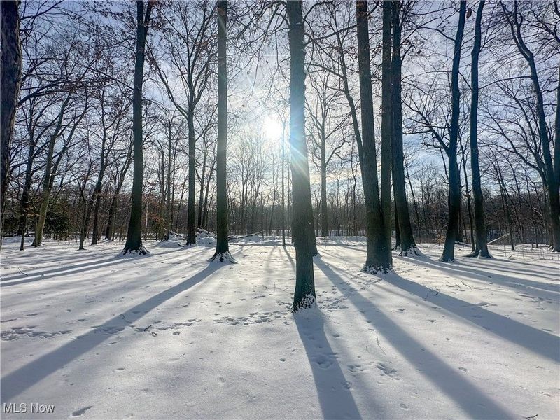 706 Shadowood Lane SE, Howland, OH 44484 Photo 3