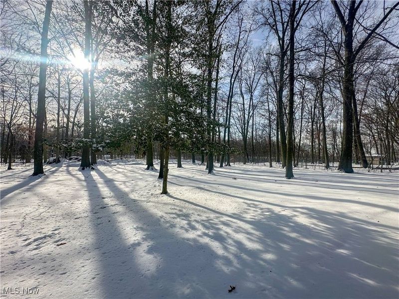 706 Shadowood Lane SE, Howland, OH 44484 Photo 46