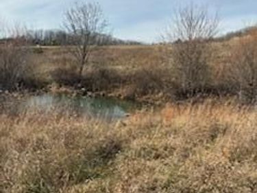 563 Moores Creek Greenhill Road, Annville, KY 40402