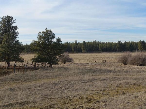20xxx S Parker Rd, Spangle, WA 99031