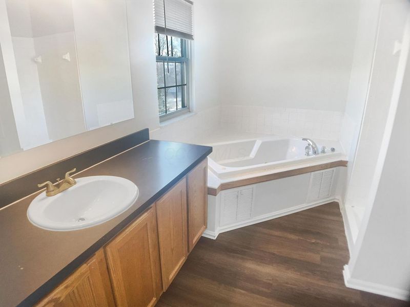 100 Gold Dust Court, Delaware, OH 43015 Photo 6