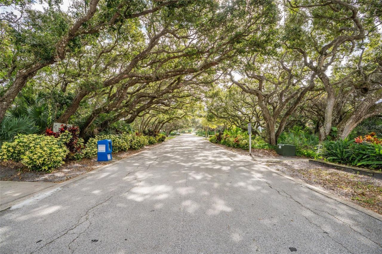 4368 Sea Cove, New Smyrna Beach, FL 32169 Photo